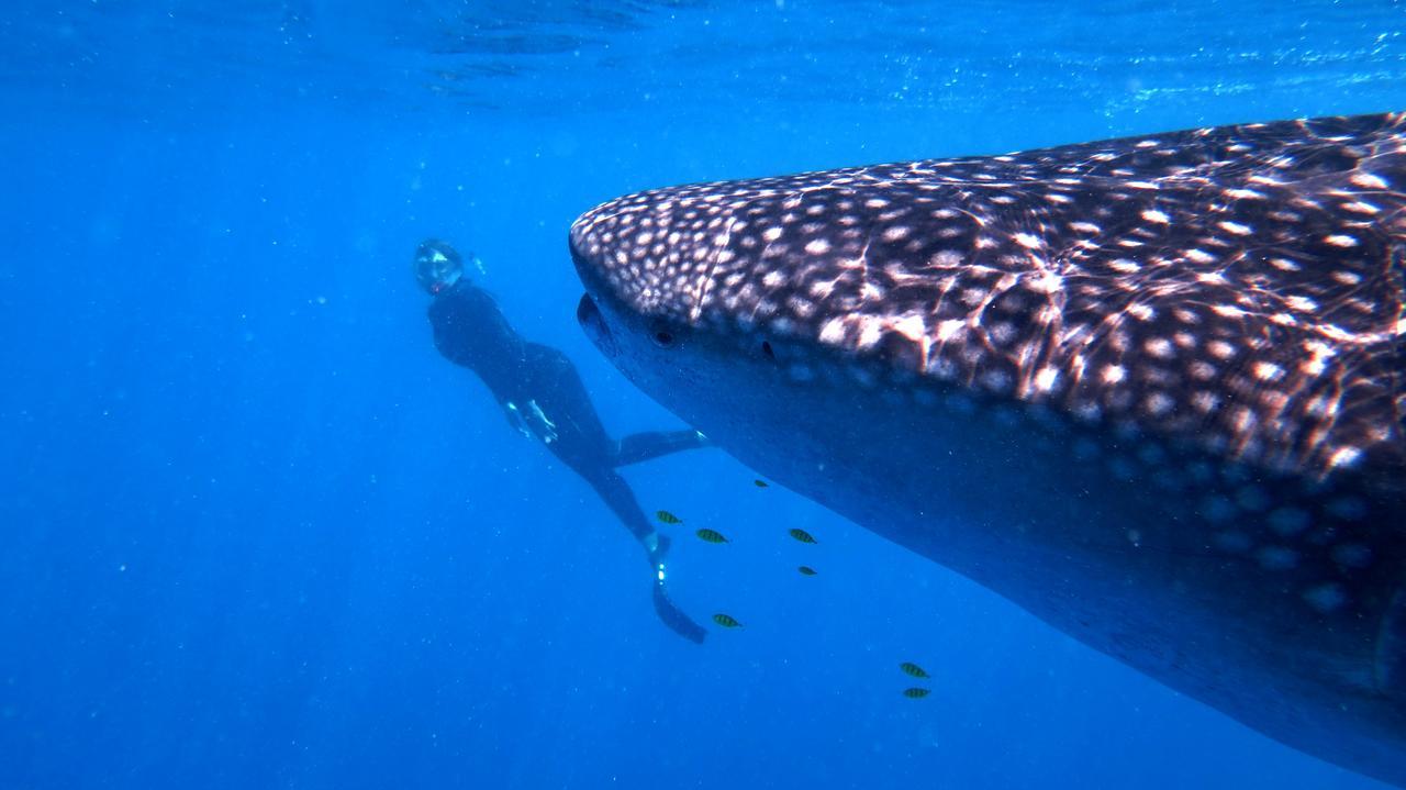 Sakatia Lodge Ampasimena Kültér fotó
