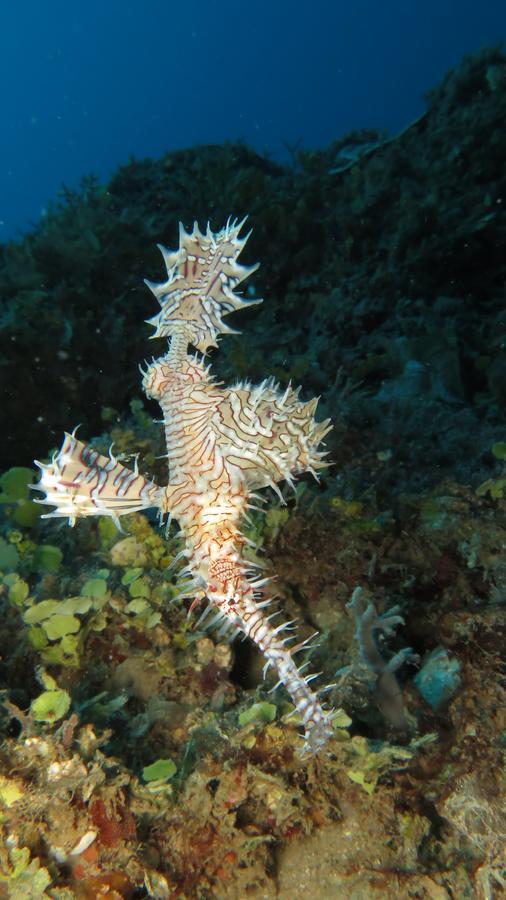 Sakatia Lodge Ampasimena Kültér fotó